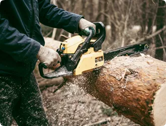 Tree Cutting