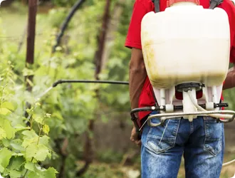 Tree Pest Control 