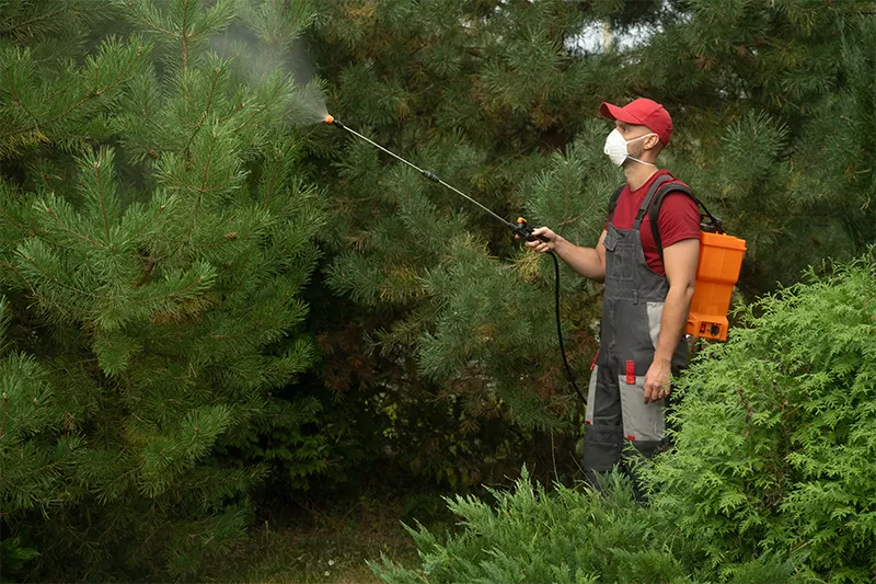  Tree Pest Control Services in Hyderabad 